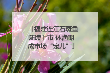福建连江石斑鱼陆续上市 休渔期成市场“宠儿”