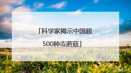 科学家揭示中国超500种毒蘑菇