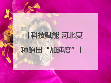 科技赋能 河北夏种跑出“加速度”