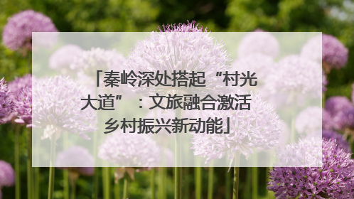 秦岭深处搭起“村光大道”：文旅融合激活乡村振兴新动能