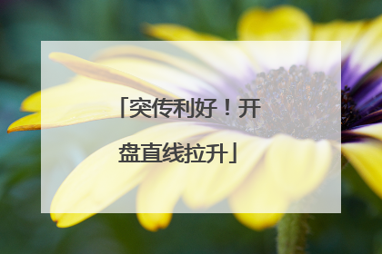 突传利好！开盘直线拉升