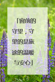 窗前的守望，守望的是旅途的温暖与安心