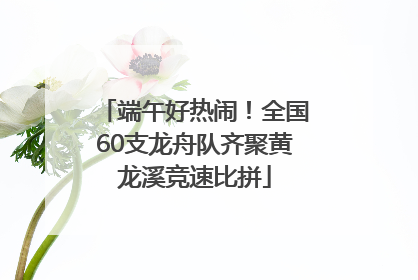 端午好热闹！全国60支龙舟队齐聚黄龙溪竞速比拼
