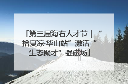 第三届海右人才节｜“拾夏凉·华山站”激活“生态聚才”强磁场