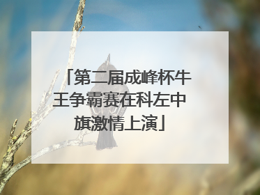 第二届成峰杯牛王争霸赛在科左中旗激情上演