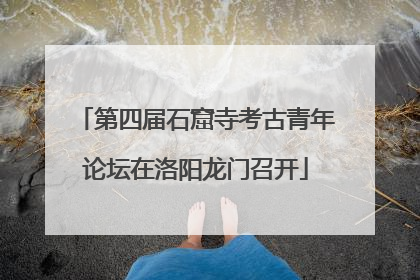 第四届石窟寺考古青年论坛在洛阳龙门召开