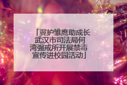 翼护雏鹰助成长 武汉市司法局何湾强戒所开展禁毒宣传进校园活动