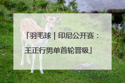 羽毛球｜印尼公开赛：王正行男单首轮晋级