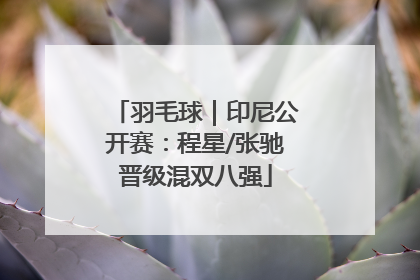 羽毛球｜印尼公开赛：程星/张驰晋级混双八强