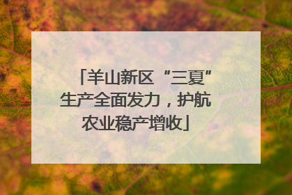 羊山新区“三夏”生产全面发力，护航农业稳产增收