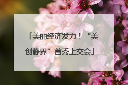 美丽经济发力！“美创静界”首秀上交会