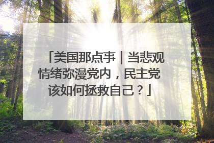 美国那点事｜当悲观情绪弥漫党内，民主党该如何拯救自己？