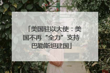 美国驻以大使：美国不再“全力”支持巴勒斯坦建国