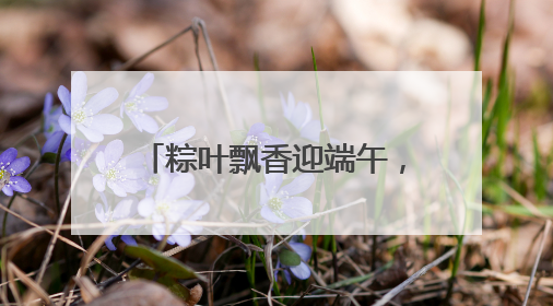 粽叶飘香迎端午，童趣游园乐无边｜沙子口街道儿童端午游园活动圆满落幕