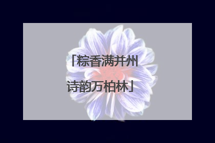 粽香满并州 诗韵万柏林