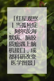 红星观察丨当孤独症、阿尔茨海默病、脑胶质瘤遇上脑机接口，成都科研改变医学图景