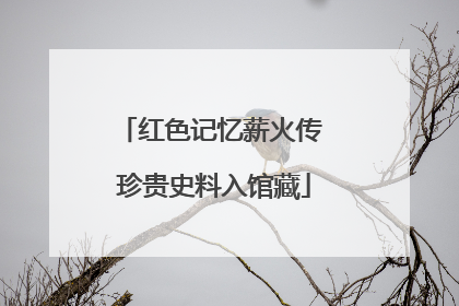 红色记忆薪火传 珍贵史料入馆藏