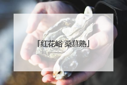 红花峪 桑葚熟
