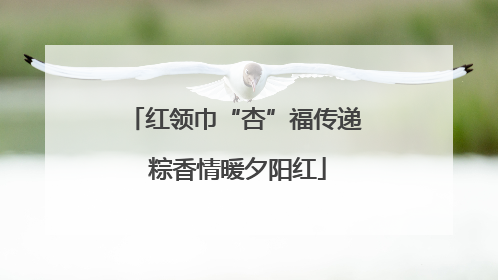 红领巾“杏”福传递 粽香情暖夕阳红