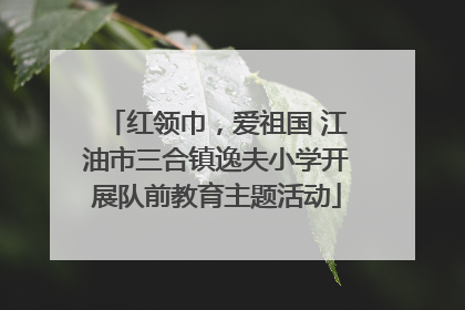 红领巾，爱祖国 江油市三合镇逸夫小学开展队前教育主题活动