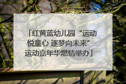 红黄蓝幼儿园“运动悦童心 逐梦向未来”运动嘉年华燃情举办