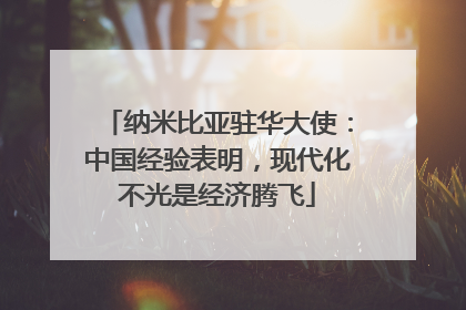 纳米比亚驻华大使：中国经验表明，现代化不光是经济腾飞
