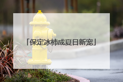 保定冰柿成夏日新宠