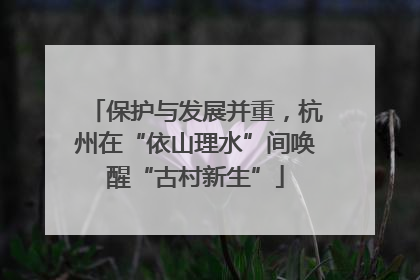 保护与发展并重，杭州在“依山理水”间唤醒“古村新生”