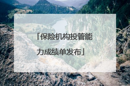 保险机构投管能力成绩单发布
