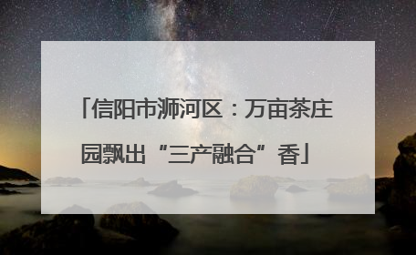 信阳市浉河区：万亩茶庄园飘出“三产融合”香