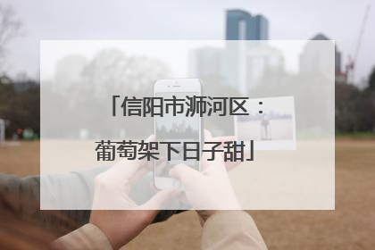 信阳市浉河区：葡萄架下日子甜