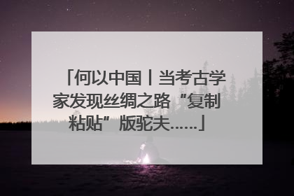 何以中国丨当考古学家发现丝绸之路“复制粘贴”版驼夫……
