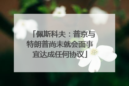 佩斯科夫：普京与特朗普尚未就会面事宜达成任何协议