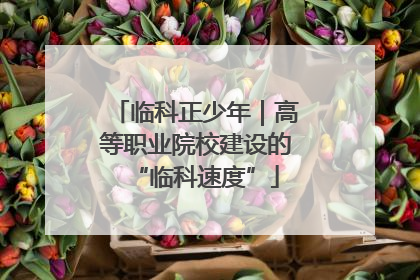 临科正少年｜高等职业院校建设的“临科速度”