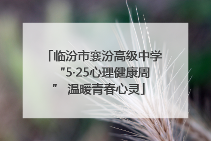 临汾市襄汾高级中学“5·25心理健康周” 温暖青春心灵
