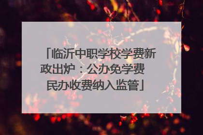 临沂中职学校学费新政出炉：公办免学费 民办收费纳入监管