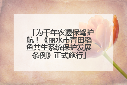 为千年农遗保驾护航！《丽水市青田稻鱼共生系统保护发展条例》正式施行