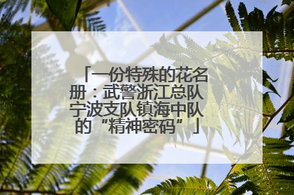 一份特殊的花名册：武警浙江总队宁波支队镇海中队的“精神密码”