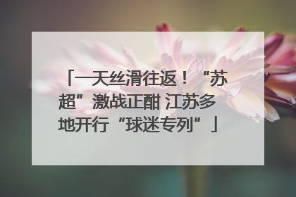 一天丝滑往返！“苏超”激战正酣 江苏多地开行“球迷专列”