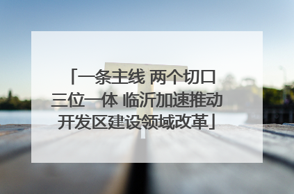 一条主线 两个切口 三位一体 临沂加速推动开发区建设领域改革