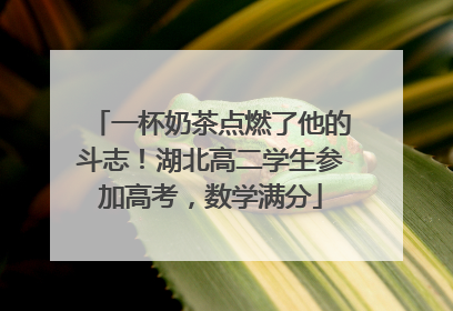 一杯奶茶点燃了他的斗志！湖北高二学生参加高考，数学满分