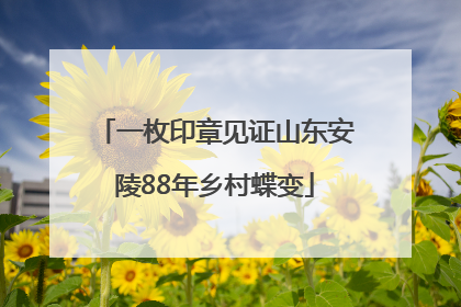 一枚印章见证山东安陵88年乡村蝶变