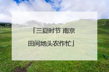 三夏时节 南京田间地头农作忙