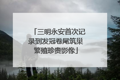 三明永安首次记录到发冠卷尾筑巢繁殖珍贵影像