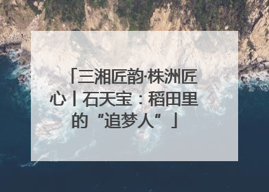 三湘匠韵·株洲匠心丨石天宝：稻田里的“追梦人”