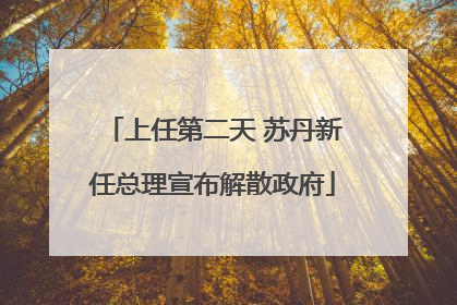 上任第二天 苏丹新任总理宣布解散政府