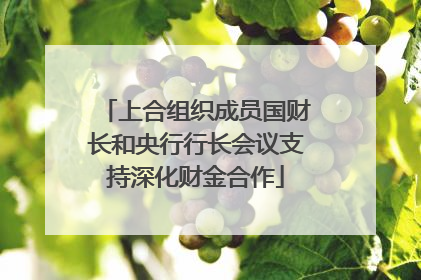 上合组织成员国财长和央行行长会议支持深化财金合作