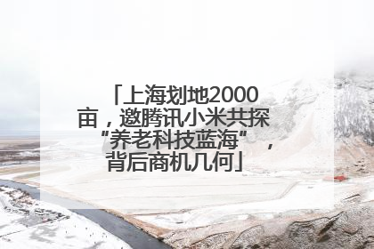 上海划地2000亩，邀腾讯小米共探“养老科技蓝海”，背后商机几何