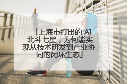 上海市打出的 AI 北斗七星，为何能实现从技术研发到产业协同的闭环生态