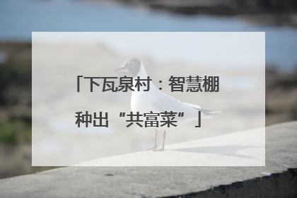 下瓦泉村：智慧棚种出“共富菜”